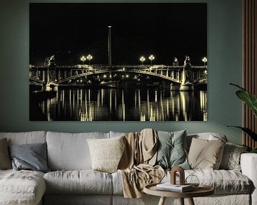 Brug over De Maas - Art 