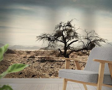 Argentina 2 by Sytse Dijkstra