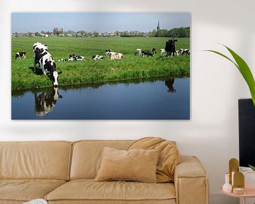 Cows in the meadow by Miranda Bos