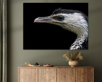 Cormorant portrait von Eelke Cooiman