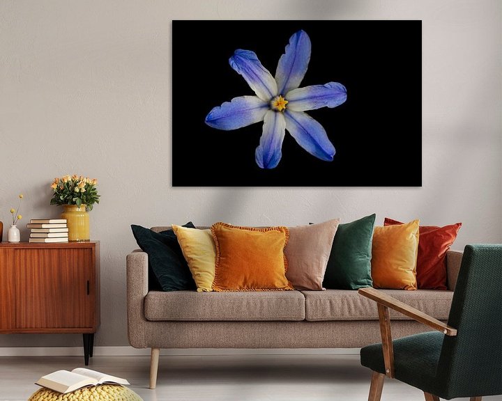 Sfeerimpressie: Blauwe bloem van Eelke Cooiman