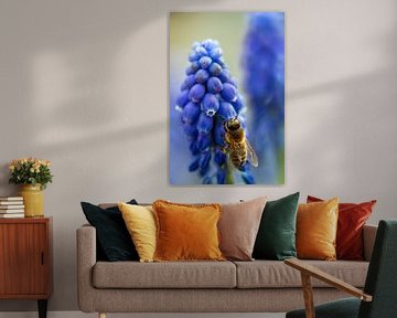 this bee sitting on a blue grape