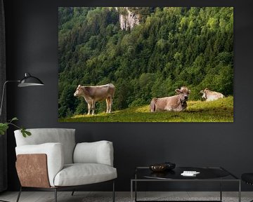 Cows in a alpine meadow von John Stuij