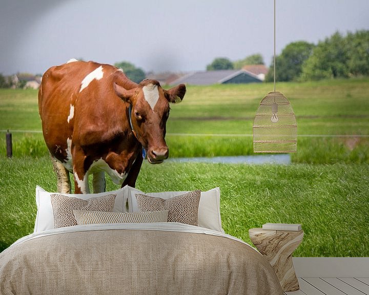 Sfeerimpressie behang: Even chillen... met koeien van PJG Design