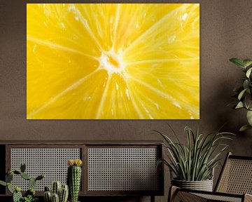 Fresh yellow lemon cross section by Sjoerd van der Wal