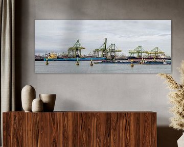 Große Massengutschiffe mit Kohle im Hafen von Sjoerd van der Wal Fotografie