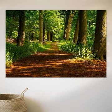 Wandern im Nijenburg von Jaap Mulder