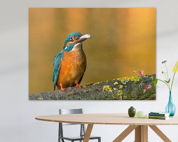 Kingfisher with fish by Eelke Cooiman
