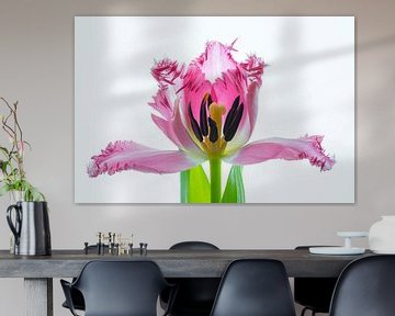 Kunstwerk Tulpenblüte von Monika Scheurer