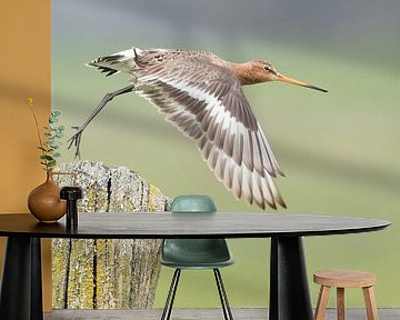 Uferschnepfe fliegt weg von Erik Veldkamp