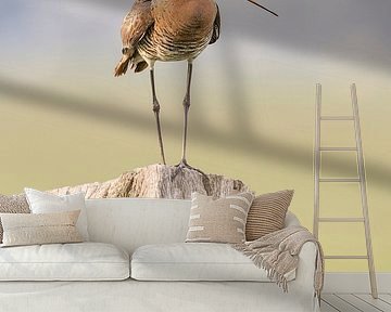 Black-tailed godwit on a pole by Erik Veldkamp