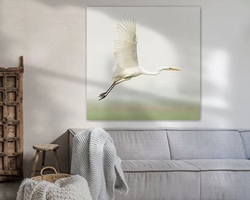Egret flies away