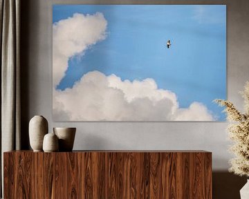 Buzzard in the clouds by Erik Veldkamp