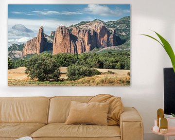 Landschaft von Mallos de Riglos, Spanien. von Lorena Cirstea