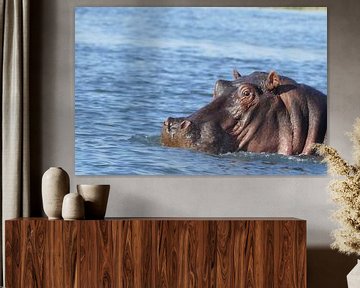 Nijlpaard by Peter Polling