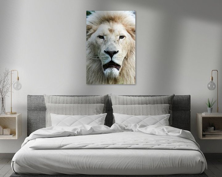 Sfeerimpressie: Witte leeuw  frontaal portret van Erik Wouters