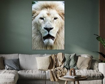 Witte leeuw  frontaal portret von Erik Wouters