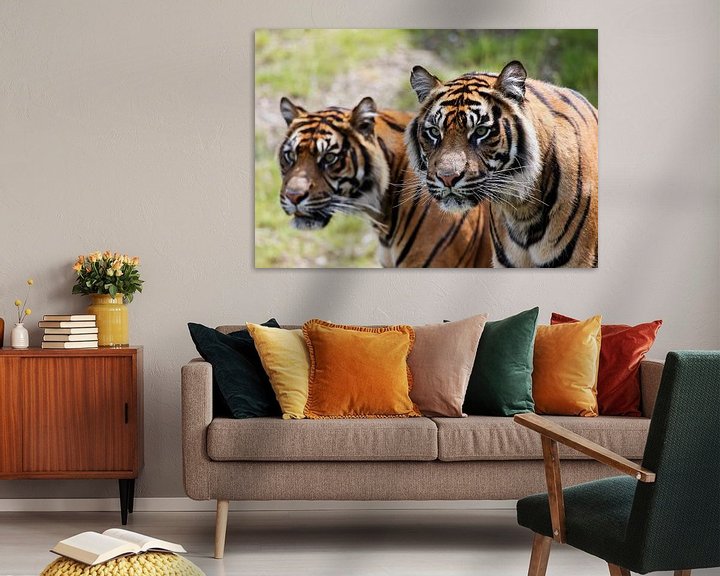 Sfeerimpressie: Twee tijgers met scherpte / onscherpte van Erik Wouters
