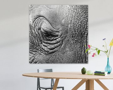 Olifant sur Maura Klumper