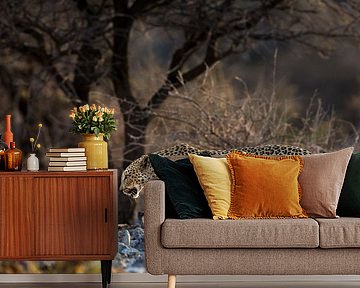 Luipaard van Richard Guijt Photography