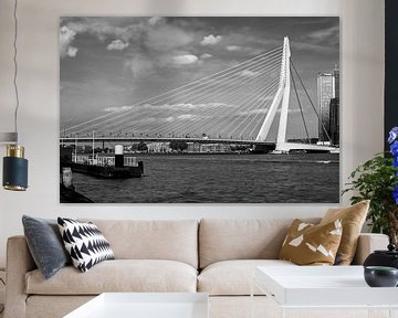 Rotterdam, Erasmus bridge. by Lorena Cirstea