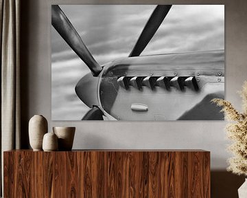 Spitfire Propeller van Jan Brons