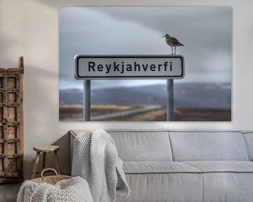 Reykjahverfi van BL Photography