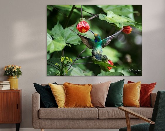 Aperçu de la chambre