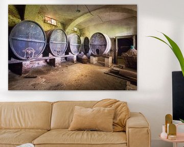 Abandoned Wine Barrels in Cellar. by Roman Robroek