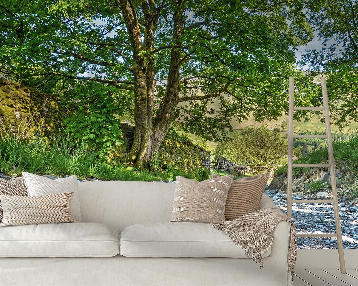 Raumvorschau