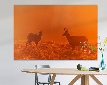 Voorbeeld van het werk in een kamer