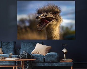 Grappige Struisvogel van Edwin Mooijaart