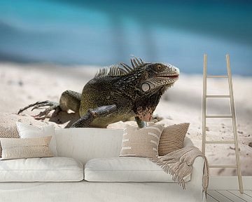 Lazy Iguana by Edwin Mooijaart