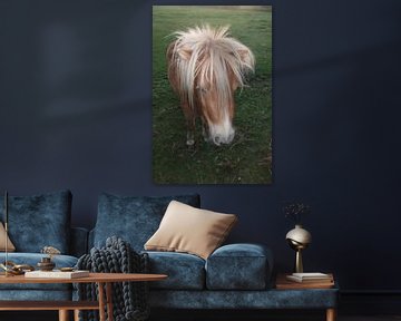 Pony, paard, horse,  by Yvonne de Waal Malefijt