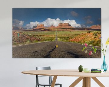 Road to Monument Valley van Edwin Mooijaart
