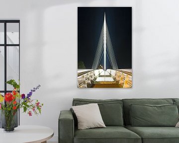 Calatrava-Brücke - Harfe 1/1
