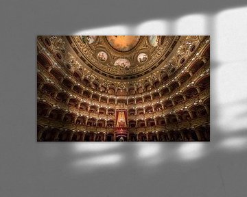 Theater Massimo Bellini von Mario Calma