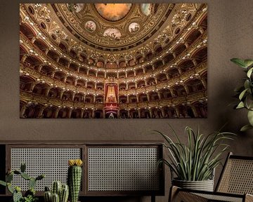Theatre Massimo Bellini by Mario Calma