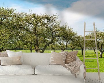 Appelbomen in een boomgaard in het voorjaar van Sjoerd van der Wal Fotografie