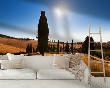 Tuscan winding road by Dennis van de Water