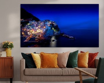 Manarola Cinque Terre at night,  Italy by Ruurd Dankloff