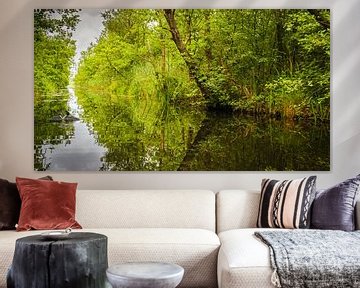Swamp in Naardermeer, Netherlands by Rietje Bulthuis