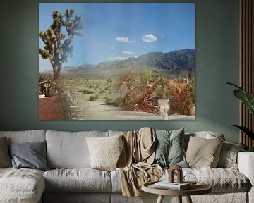 America Death Valley Collage van Karen Boer-Gijsman
