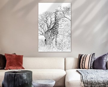 Girafe classique en noir et blanc sur Heleen van de Ven
