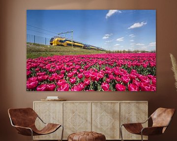 Train and flower fields in Holland sur Jan Kranendonk