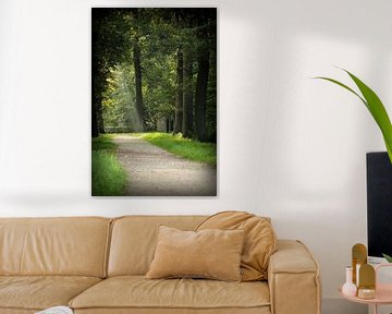 At the end of the path... by Marco Jansen