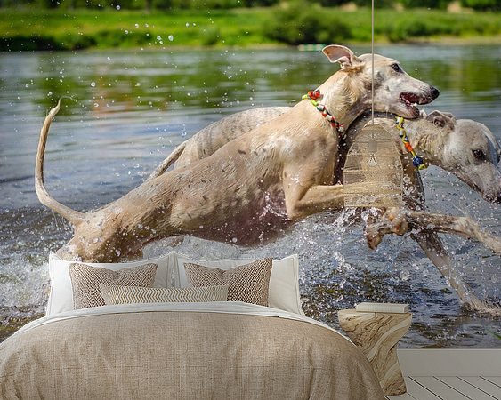 Voorbeeld van het werk in een kamer