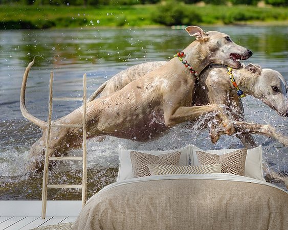 Voorbeeld van het werk in een kamer