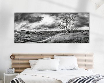 Panorama Posbank Veluwe