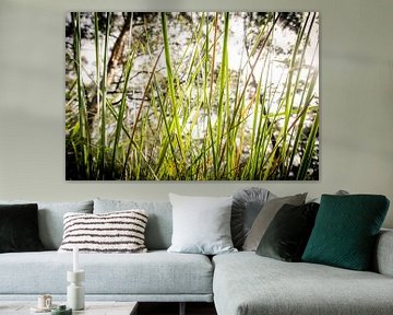 Gras op Bruny Island, Tasmanië van Sven Wildschut